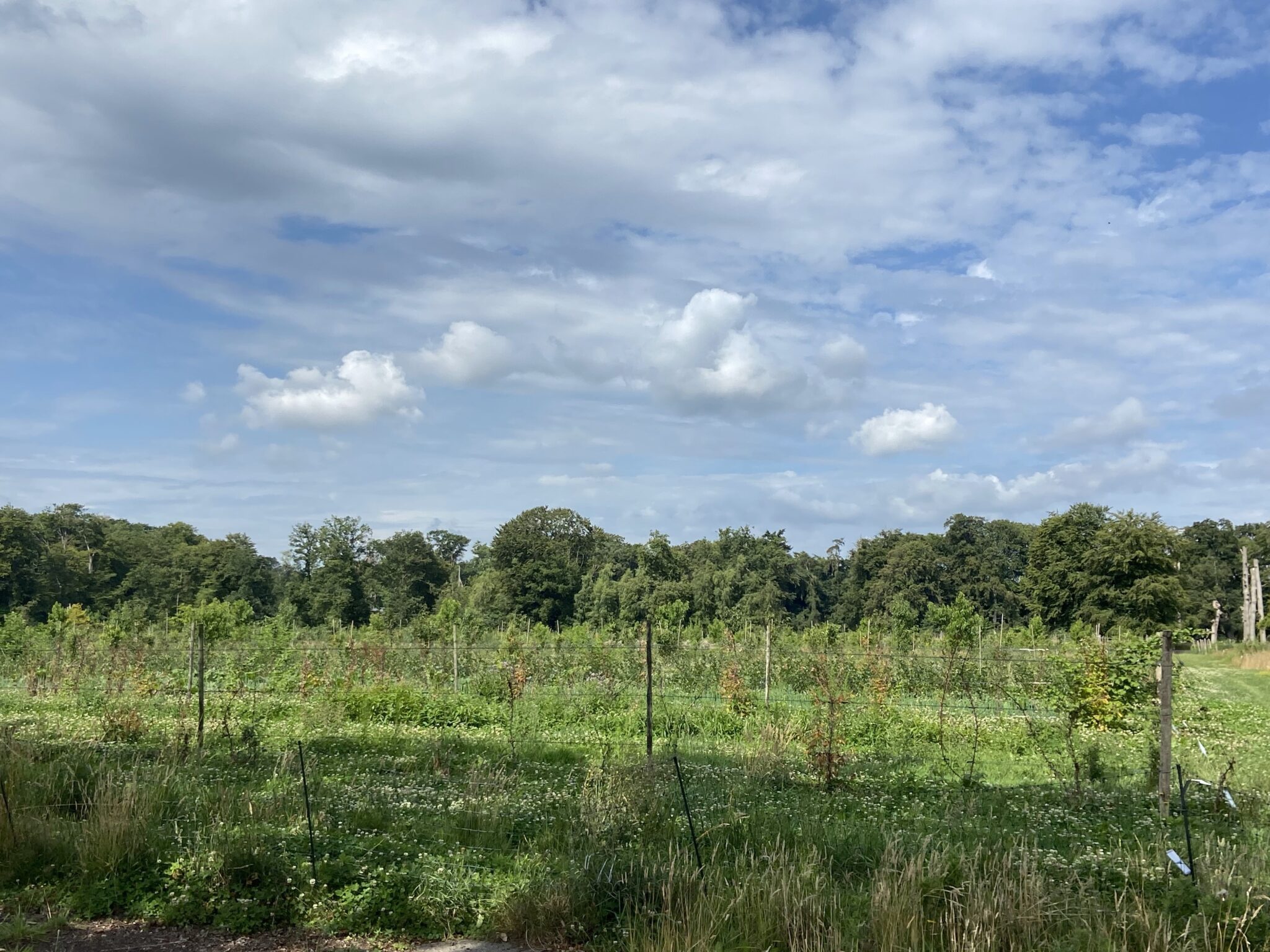 Foto van een agrarisch landschap