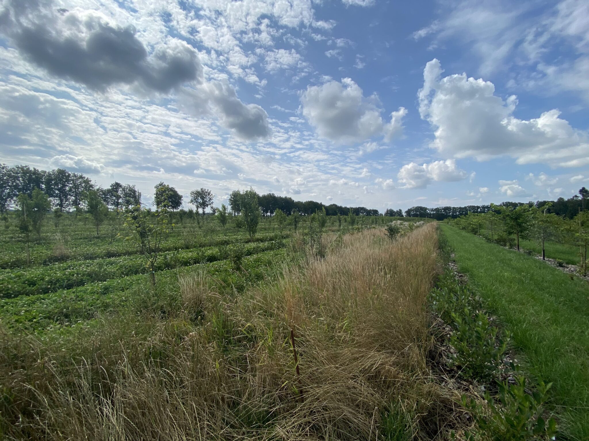 Foto van een agrarisch landschap