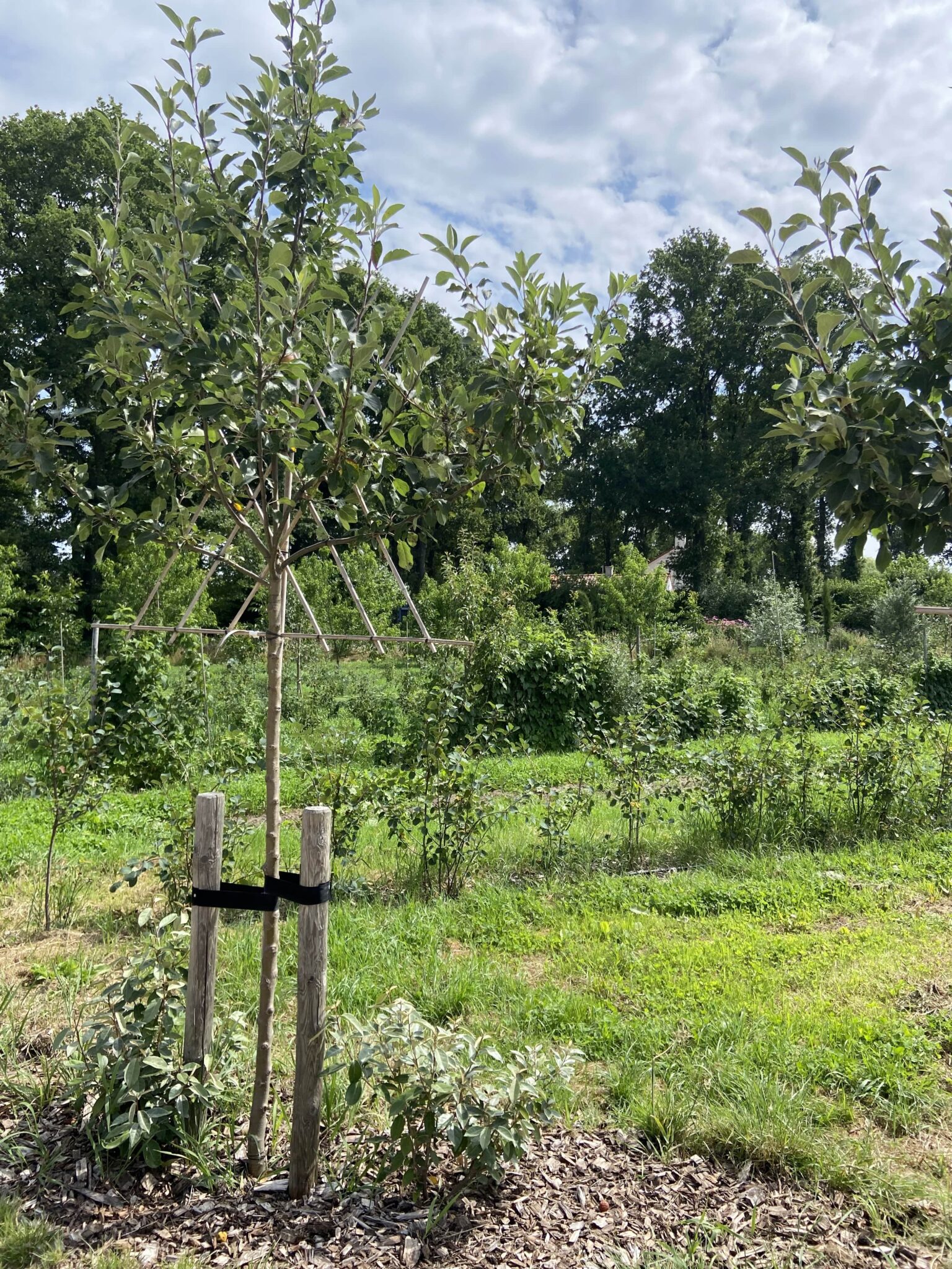Foto van een agrarisch landschap