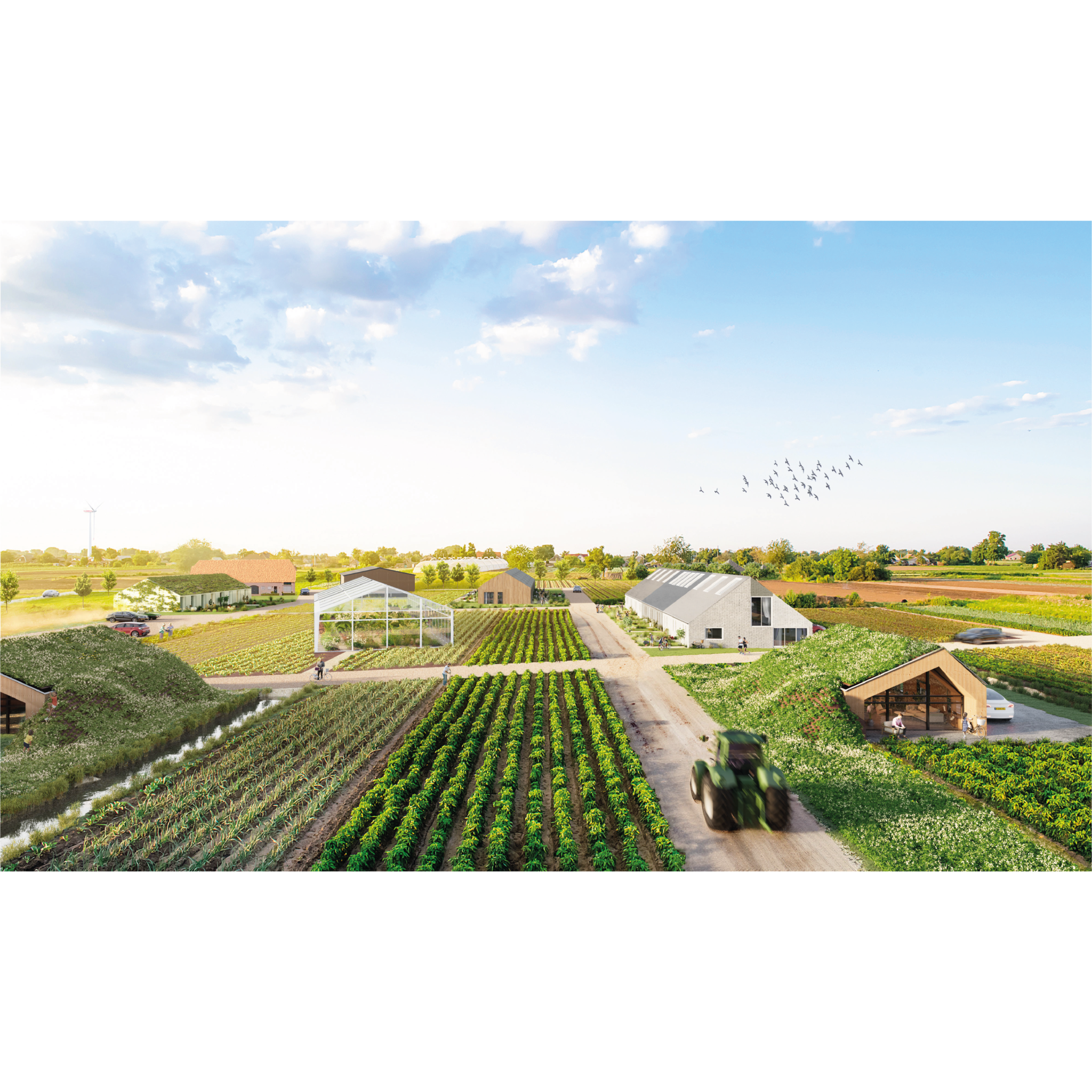 Een beeld van een agrarische kavel van terug in de polder.