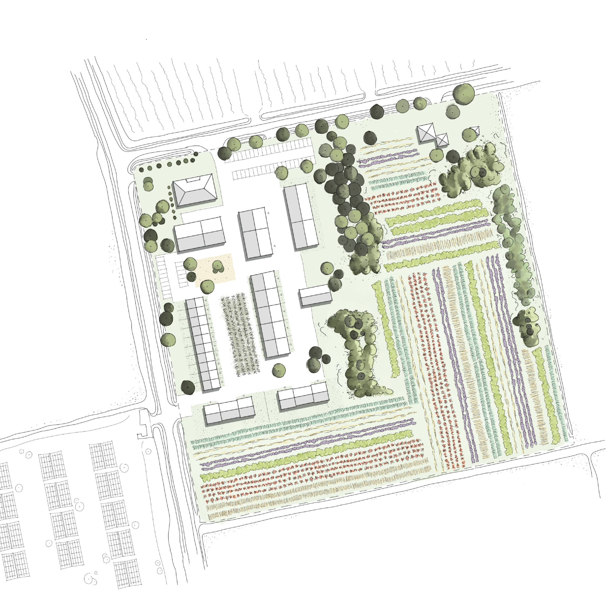 Een geschetste plattegrond van een agrarische kavel ontwikkeld tot een nieuw boeren erf.