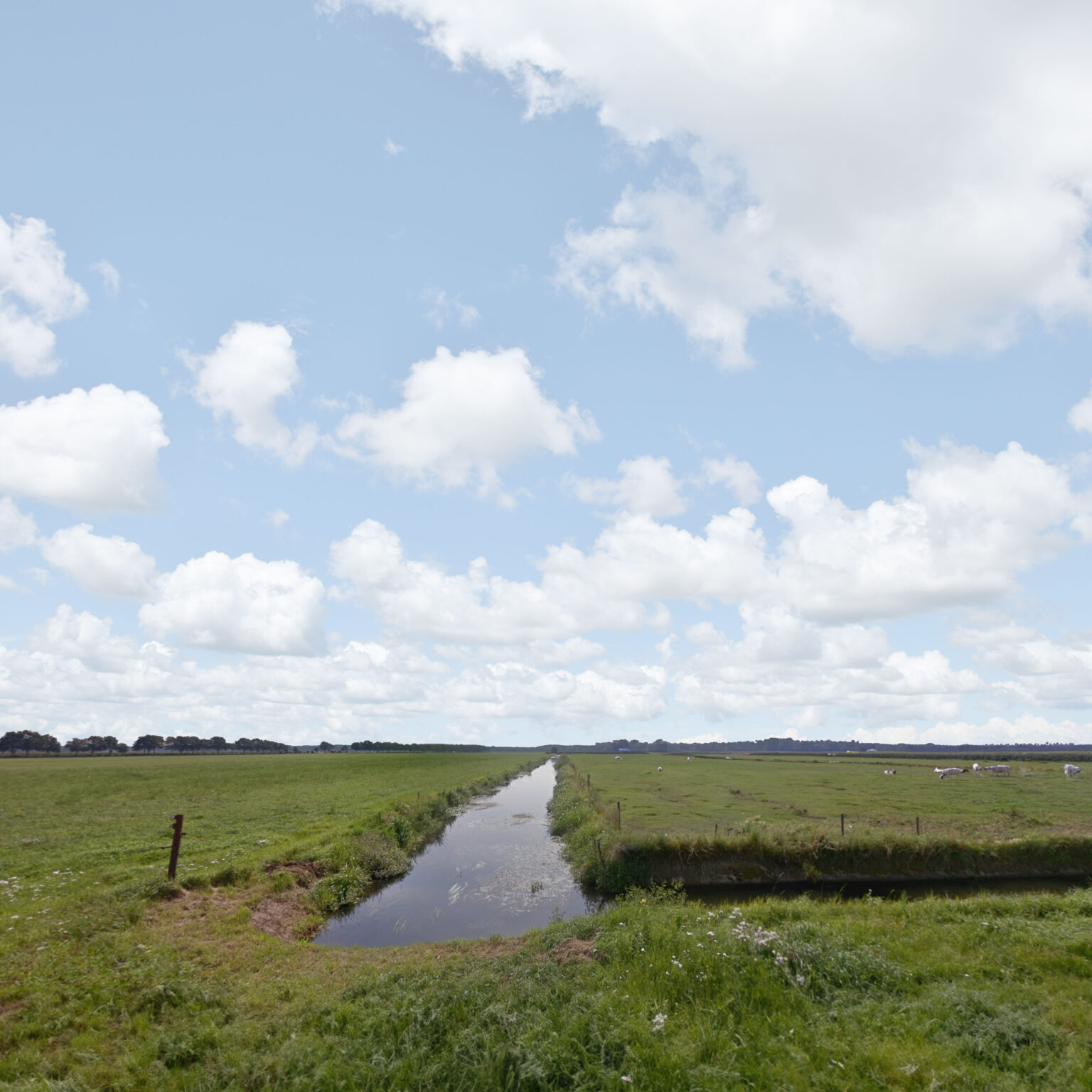 Luchtfoto van een natuurgebied met diverse vegetatie en waterwegen voor de VGNP-gebiedsaanpak
