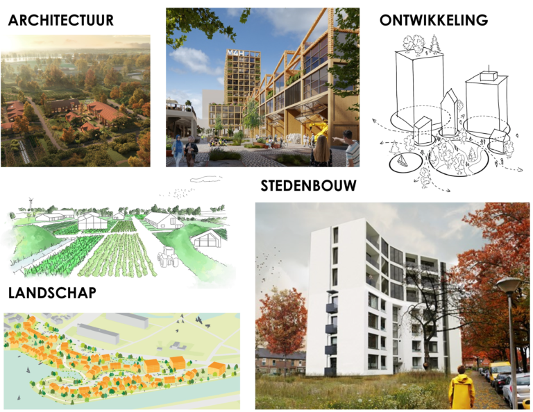 Stage - Field Design & Development